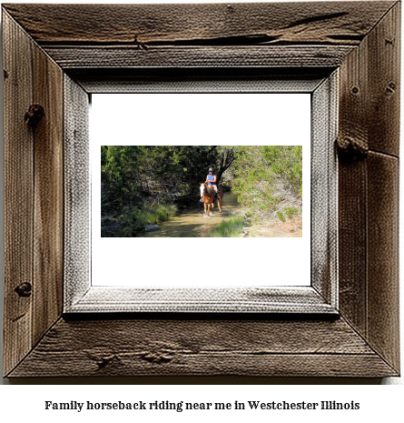 family horseback riding near me in Westchester, Illinois